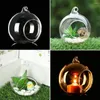 Bottiglie Decorazioni per matrimoni Tea Light Palline riempibili Palline di vetro trasparente Microlandscape Contenitore Bottiglia per decorazioni natalizie