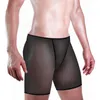 Sous-vêtements Sexy Mens Mesh Voir Trunks Beachwear Sous-vêtements Ultra-mince Taille Moyenne Boxer Shorts Lingerie Confortable Bikini Bottom Briefs