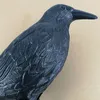 Decorative Objects Figurines Simulation Black Raven Bird Crow Natural Prop Scary Pest Repellent Control Decoration Party Supplies 230928
