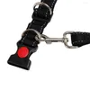 Collari per cani Guinzagli Accessori regolabili Cintura di trazione Nylon elastico Camminata Addestramento pratico Animali domestici all'aperto Mani libere Jogging Corsa