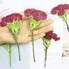 Decorative Flowers 30pcs Dried Side Pressed Red Canation Flower Stalk Plant Herbarium For Jewelry Phone Case Po Frame Bookmark Scrapbook DIY