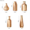 Vases WDDSXXJSL Creative Simple Electroplating Golden Glass Vase Home Decoration Living Room Flower Arrangement