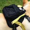 Collari per cani Set di pettorina e guinzaglio per carlino per zaino Chihuahua con borsa da scuola Bichon Frise LC0149