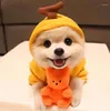 小型犬用の犬のアパレルかわいいフルーツ服