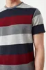 Men's T-skjortor Trendyol Men's Regular Fit Striped Short-Sleeve T-shirt TMNSS21TS2261