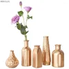 Vases WDDSXXJSL Creative Simple Electroplating Golden Glass Vase Home Decoration Living Room Flower Arrangement