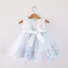 Sukienki dla dziewczynek dziewczyny Słodka sukienka swobodna 6-24 miesiąc Baby Princess Flowlique Applique ślub przyjęcie urodzin