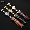 STJ Calfskin Leather Watchband Size in 16mm 18mm 19mm 20mm 21mm 22mm Watch Band med Butterfly Buckle for Watch Strap2431