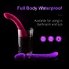 Articles de beaut￩ Double vibrateurs de baguettes ￠ t￪te pour femmes Dildos Butt Plug anal vagin clitoris stimulatrice de mamelon
