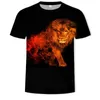 Мужские футболки T-футболка Summer Fashion Hip-Hop Мужская/женская печать инь-ян 3D Lion Wear 2023 Top Asian Size S-6xl
