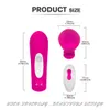 Itens de beleza controle remoto sem fio Vibration Egg Sm Training SM Casal Vibrador Impermeável Carregamento magnético Toys sexy Massagem G-Spot