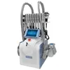 Macchina dimagrante di terza generazione Fat Freeze Shaping Machine Cryo Lipolisi 2 teste di congelamento possono funzionare al momento3