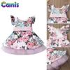 Abiti da ragazza Pudcoco Arrivo Bambino Bambini Neonate Estate Fiore Principessa Festa Abito da spettacolo Vestito estivo Abbigliamento per bambini