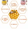 Natural Lip Balm Honey Pot Strawberry Propolis Moisturizing Hydrating Prevention Dry and Cracked Lip Scrubs Exfoliator