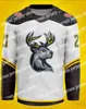 Hockey Nik1 2021-22 Iowa Heartlanders New Jersey Custom Home Awany White Gray All Stitched High Quality Jerseys