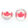 Flag Resin Cabochon Kameleon Jewelpops Jewelpops s'adapte aux bracelets à charme INSERT DIY RING 925 Silver plaqué Jewelpops21995755973