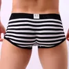 Underpants Men Sexy Striped Underwear Boxer Mesh Boxershorts Male Cueca Gay Penis Man Panties Mens Trunks