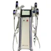 Kryolipolyse-Maschinen, Fettgefrier-Körperschlankheitsmaschine, 5 Griffe, Criolipolisis-Vakuumtherapie, Gewichtsverlust zu verkaufen