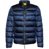 Veste en duvet pour homme Veste matelassée en coton Couleur unie Bleu Blanc Duvet de canard Loisirs Outwear