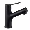 Bathroom Sink Faucets Mouthwash Basin Faucet Full Copper Pull Cold Double Outlet Black Wash Retractable Tapware