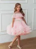 Girl Dresses Pink Pincess Scoop Birthday Flower Dress Bow Tiered Teen Wedding Party Fashion Show First Communion All Ages