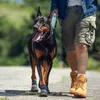 小型中型の大きな犬アパレルのための犬の靴冬の温かい子犬の靴下はウォーキングランをフィットにフィットします。