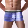 Mutande Custodia aperta Intimo da uomo Boxer a righe Pantaloncini sexy Sospensorio in cotone per uomo Boxer maschili gay a vita bassa