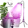 Vattentät Grow Light LED -växtens tillväxtlampa Full Spectrum Phytolamp med stativ inomhus Phyto Lamp växthusgrönt blommatält