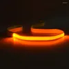 Colliers en Nylon pour chiens, laisse lumineuse LED, sécurité nocturne, clignotant, lueur dans la nuit, fournitures pour animaux de compagnie, dessin de chat, petit plomb