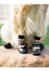 Dog Cat Shoes Dog Apparel Waterproof Dogs Socks Rain Snow Pet Booties Anti-Slip Puppy Sock Boots with Adjustable Drawstring for Small Medium Doggy Wholesale A516