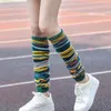 Chaussettes chaudes à poils longs pour femmes, automne et hiver, couleur douce, protège-jambes en cachemire à fines rayures, Tube Long assorti au dessus du genou