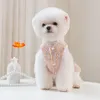 Vêtements de chien Vêtements de style occidental Robe de mode Robes d'hiver Princesse Fantaisie Chiot pour animaux de compagnie