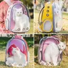 Housses de siège de voiture pour chien, sac à dos transparent de transport pour chat, chaton, chiot, petit animal de compagnie, transport d'animaux de compagnie, fourre-tout d'école en plein air