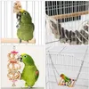 Andere Vogelbedarf 8-teiliges Haustierspielzeug-Set für Papageien, Kauen, ungefärbtes Holz, umweltfreundliche, gesunde Schaukelleiter-Kombination für Käfig