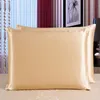 Natural Silk Pillow Case Pudowcase Pillows Cover Without Insert RRC849