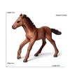 Sieradenzakken 17 stijl 3D emulationeel dier specimen paardenmodel decoratie huis ornament verjaardag cadeau kinderen speelgoed cavalo huisdier caballo