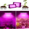 LED GROW Lights Phyto Lamp 200W Full Spectrum Plants Light Hydroponics Growing System Greenhouse Flower Seed Grow Tent