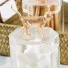 Bottiglie di stoccaggio bottiglia per animali creativi con berretto di vetro di vetro sigillato fresco decorazioni mobili per alimentari artigianali bomboniere