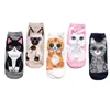 Chaussettes invisibles en coton pour femmes, mignonnes, dessin animé, bateau, respirantes, Kawaii, Harajuku, accessoires de sport