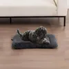 almohada de perros