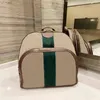 Bolsa de designer de mochila bolsa Crossbody Presbyopia Simplicity Bag casual Luxurys Fashion Hangdbags233D
