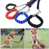 Collari per cani HCollare di colore aggiornato Grande pastore tedesco Walk The P Chain Pet regolabile per cani Dropship