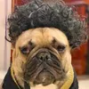 ペットと猫のファンタジーヘアセット面白いヘッドアクセサリーのコスプレのための犬のアパレルウィッグソースでのストック