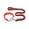 Collari per cani HCollare di colore aggiornato Grande pastore tedesco Walk The P Chain Pet regolabile per cani Dropship