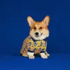 Designers Trendy Polo Shirt Short Sleeve Pets Apparels Warm Dog Coats Autumn and Winter Dog Clothes for Medium and Small Dogs