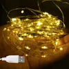 Cuerdas 2 uds USB Led alambre de cobre cadena luces de hadas guirnaldas al aire libre lámpara de calle para árbol de Navidad jardín DIY decoración de boda