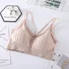 Bustiers korsetten geen rand ondergoed voor vrouwen kanten patroon mooie rug maiden bh naadloze sporen sling linger lingerie comfort mamzono