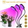 LED Full Spectrum Phytolamps USB Wzrost światło z timerem Control Desktop Clip lampy fito dla roślin sadzonki kwiaty uprawne