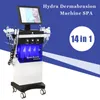 NEU Hydro 14 in 1 Multifunktions-Schönheitsausrüstung Spa-Gesichts-Hydrafacial RF Aqua Peeling Vakuum Gesicht Porenreinigung Hydrodermabrasion Wasser-Sauerstoff-Jet