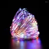 Strängar 5m 10 m 20m Micro Copper Wire LED Battery Light String String Luces Navida Christmas Party Wedding Camping Decoration